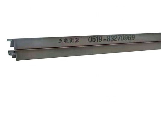 Scale per camion da 60 tonnellate OIML III LED Scala di peso digitale Pesante portatile