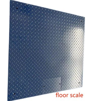 Alta precisione 1m 3 tonnellate Scala di peso personalizzata Supporto ODM 0,5kg Scala di piano di precisione
