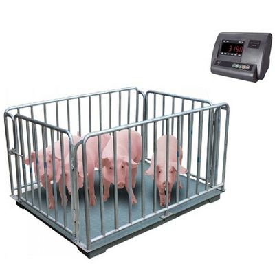 Scala elettronica per pesare il pavimento per animali 1M 2t Scala per suini 3t Precisione per pecore e mucche 0,5kg