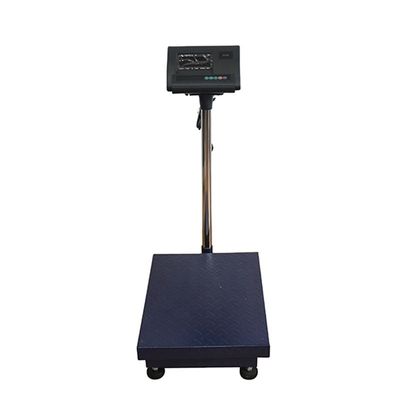 100 kg/ 300 kg/ 500 kg/ 800 kg Pesatrice portatile in acciaio inossidabile con supporto OEM