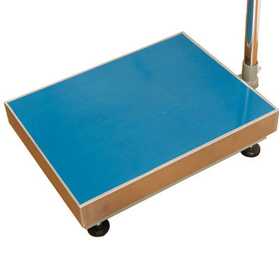 100 kg/ 300 kg/ 500 kg/ 800 kg Pesatrice portatile in acciaio inossidabile con supporto OEM