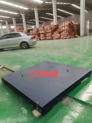 Display di carica o batteria Tipo 1.2M 2T Scala di maiale per animali Supporto personalizzato OEM