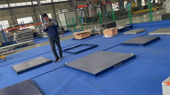 Display di carica o batteria Tipo 1.2M 2T Scala di maiale per animali Supporto personalizzato OEM