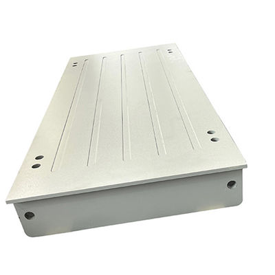 Scala di peso in acciaio inossidabile 110/220v supportata da OEM 3000kg 1000kg Scala di pesatura da banco
