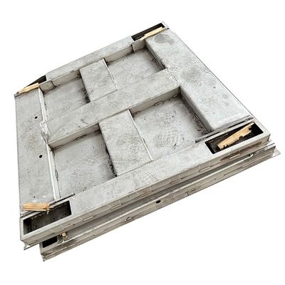 Peso portatile di 3000 kg per la pesatura e il materiale in acciaio tenero/acciaio inossidabile